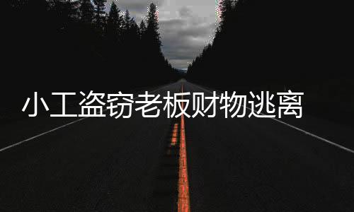 小工盜竊老板財物逃離 第二天冊亨網(wǎng)吧上網(wǎng)被抓
