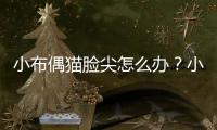 小布偶貓臉尖怎么辦？小布偶貓臉尖怎么回事