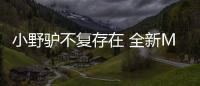 小野驢不復存在 全新Mustang可能要帶電了