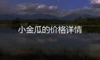 小金瓜的價格詳情