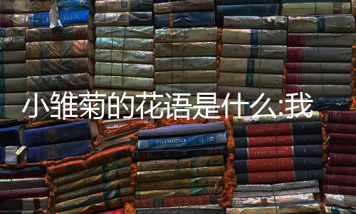 小雛菊的花語是什么:我暗戀你,那,你愛不愛我?