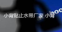 小背貼止水帶廠家 小背貼止水帶廠家直發