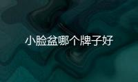 小臉盆哪個牌子好