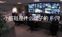 小臟鞋是什么牌子的（小臟鞋是什么牌子）