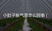 小肚子脹氣是怎么回事（了解脹氣的原因和預防措施）