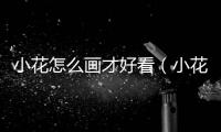 小花怎么畫才好看（小花怎么畫）