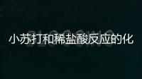 小蘇打和稀鹽酸反應的化學方程式 小蘇打和稀鹽酸反應的化學方程式是什么