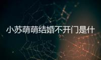 小蘇萌萌結婚不開門是什么電視劇