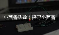 小茴香功效（探尋小茴香的神奇功效）