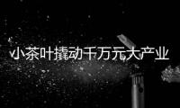 小茶葉撬動千萬元大產(chǎn)業(yè)——桂平市西山茶生產(chǎn)規(guī)模連續(xù)六年正增長