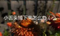 小舌頭掉下來(lái)怎么辦（小舌頭）