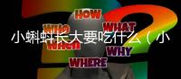 小蝌蚪長大要吃什么（小蝌蚪吃什么東西長大）