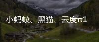 小螞蟻、黑貓、云度π1對(duì)比，有娃之家該選誰？