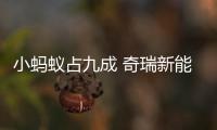 小螞蟻占九成 奇瑞新能源6月售7226臺新車