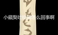 小藏獒吐拉稀怎么回事?。啃〔亻嵬吕≡趺椿厥聝?/></div></a><map dropzone=