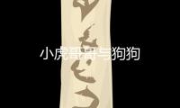 小虎哥哥與狗狗