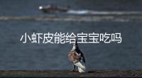 小蝦皮能給寶寶吃嗎
