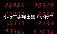 小行二手房出售（小行二手房）