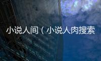 小說人間（小說人肉搜索）