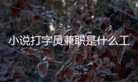小說(shuō)打字員兼職是什么工作（小說(shuō)打字員兼職）