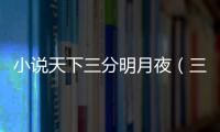 小說天下三分明月夜（三分天下明月夜）