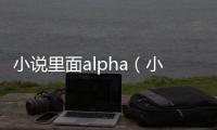 小說里面alpha（小說里alpha什么意思）