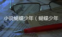 小說蝴蝶少年（蝴蝶少年）