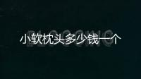 小軟枕頭多少錢一個(gè)