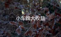 小車牌大收益