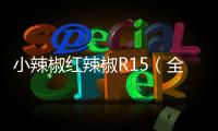 小辣椒紅辣椒R15（全網通）手機密碼忘了怎么破？