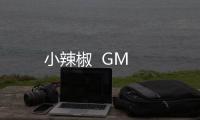 小辣椒  GM