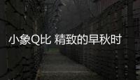 小象Q比 精致的早秋時光 女孩宛如暖陽般璀璨