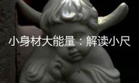 小身材大能量：解讀小尺寸嵌入式主板