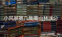 小風暴第幾集高山林沃分手