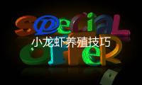 小龍蝦養(yǎng)殖技巧