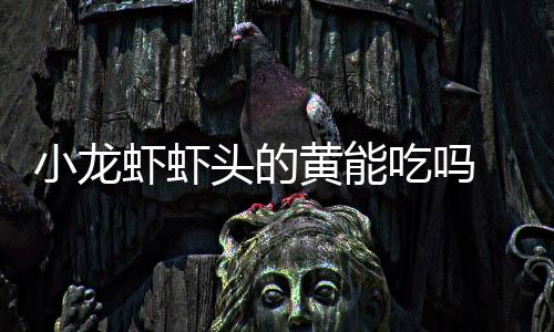 小龍蝦蝦頭的黃能吃嗎 小龍蝦蝦頭里面黃黃的是什么