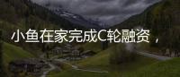 小魚在家完成C輪融資，百度領投，富士康追投