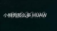 小鮮肉那么多 HUAWEI nova 2為什么又選中了張藝興【數碼&手機】風尚中國網
