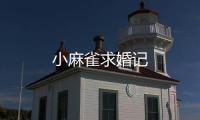小麻雀求婚記
