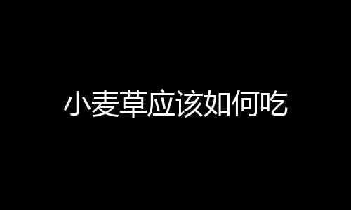 小麥草應該如何吃