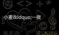 小麥“一夜大變”！猛烈漲價真不行了嗎？