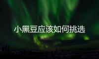 小黑豆應該如何挑選