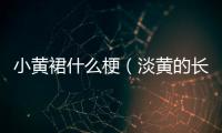 小黃裙什么梗（淡黃的長裙什么梗）
