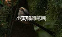 小黃鴨簡筆畫