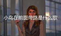 小鳥在前面帶路是什么歌指的是什么節日（小鳥在前面帶路是什么歌）