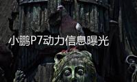 小鵬P7動力信息曝光 預計明年3月份量產(chǎn)