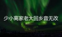 少小離家老大回鄉音無改鬢毛衰翻譯（少小離家老大回鄉音無改鬢毛衰）