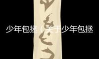 少年包拯（關于少年包拯的基本情況說明介紹）