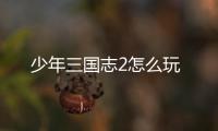 少年三國(guó)志2怎么玩