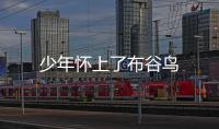 少年懷上了布谷鳥